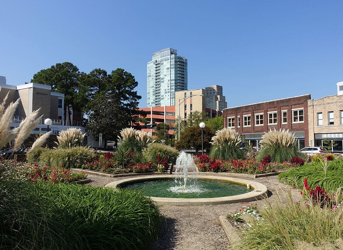 Durham, NC - Plants Surrounding a Waterfall in a Park in Durham North Carolina with Commercial Buildings in the Distance